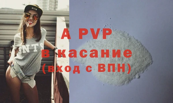 ГАЛЛЮЦИНОГЕННЫЕ ГРИБЫ Новозыбков