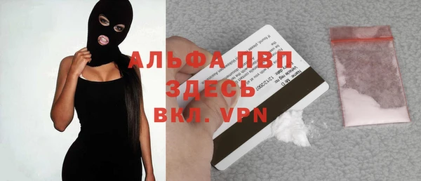 ГАЛЛЮЦИНОГЕННЫЕ ГРИБЫ Новозыбков