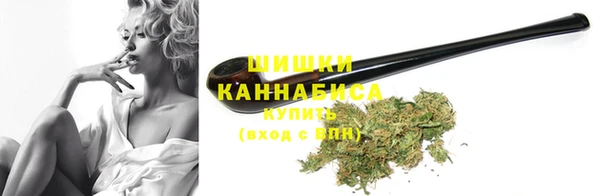ГАЛЛЮЦИНОГЕННЫЕ ГРИБЫ Новозыбков