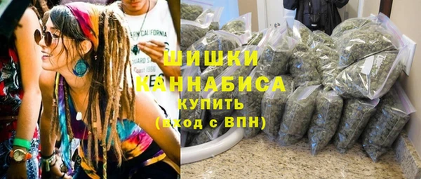 ГАЛЛЮЦИНОГЕННЫЕ ГРИБЫ Новозыбков
