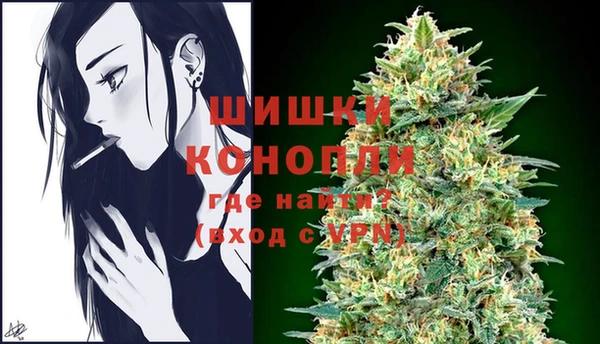 ГАЛЛЮЦИНОГЕННЫЕ ГРИБЫ Новозыбков