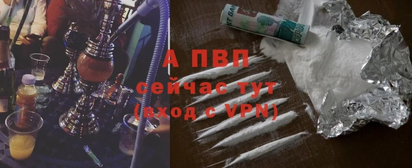 ГАЛЛЮЦИНОГЕННЫЕ ГРИБЫ Новозыбков