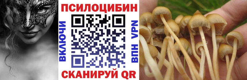 купить наркотик  Белоозёрский  Псилоцибиновые грибы Psilocybe 